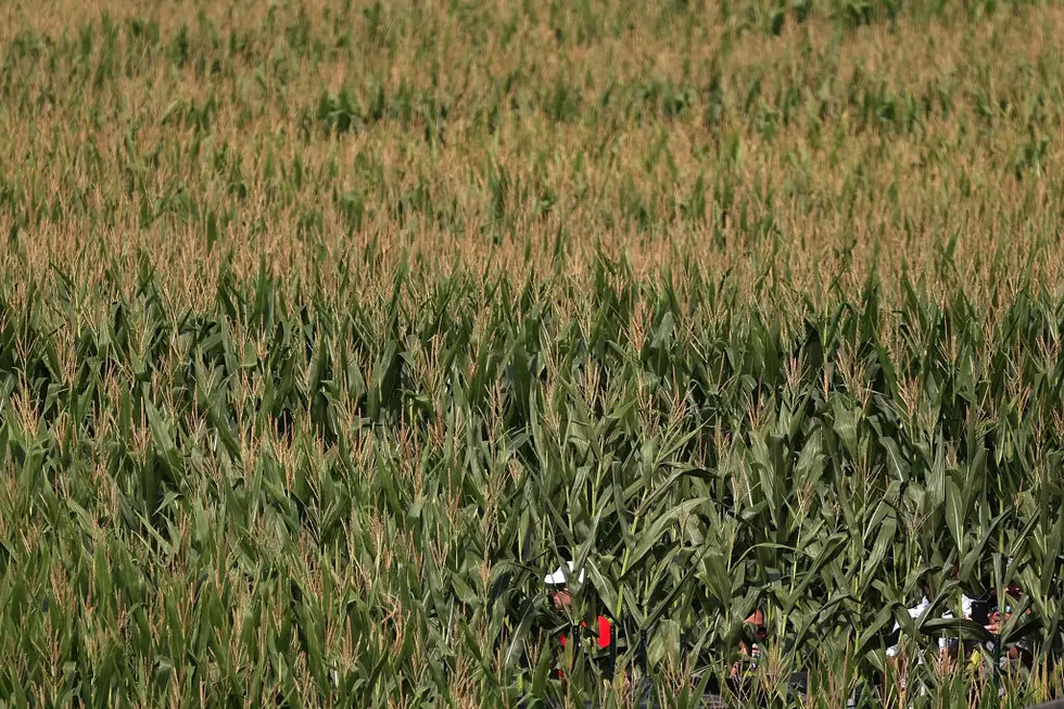 Non-Dairy Labeling Fight and Canada Sides with U.S. Over Mexican Corn Ban