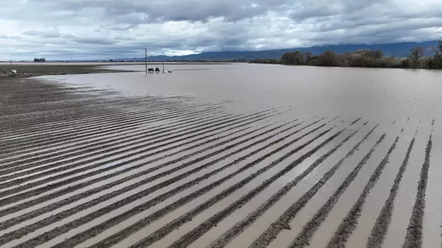 California Flooding Hits Organic Farms and Inflation in Ag Continues