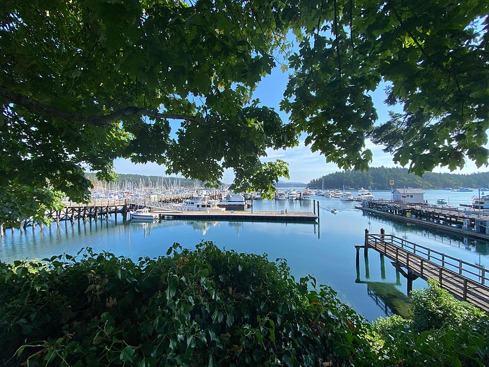 Friday Harbor Is Now the 'Best Small Town' in Washington?