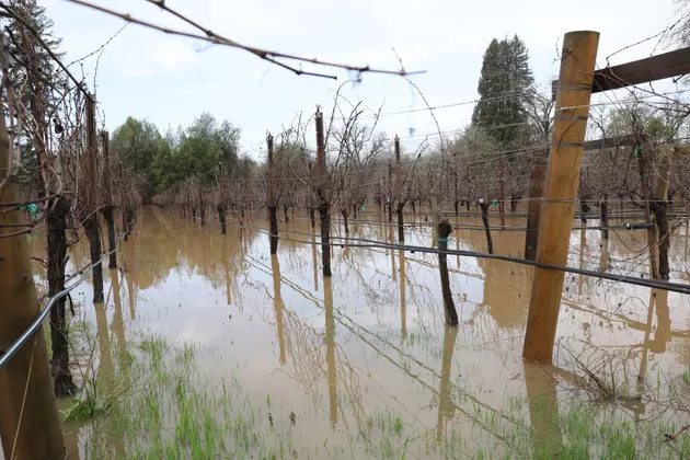Rainstorms Give California Farmers Hope and Farm Bill Hearings Begin