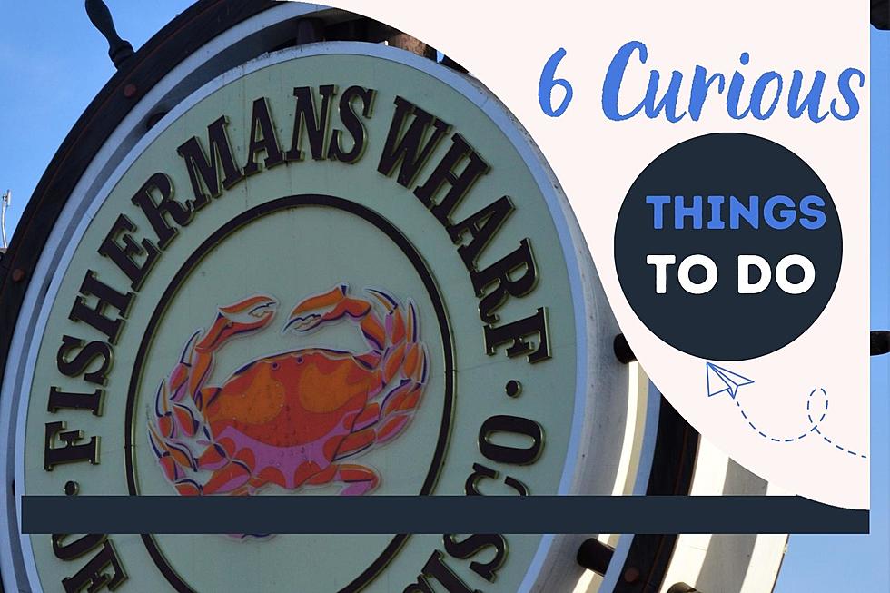 7 Curious Things to Do Near Fishermans Wharf in San Francisco