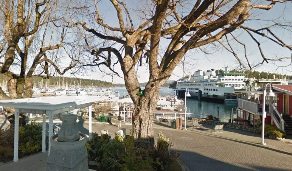 Friday Harbor WA