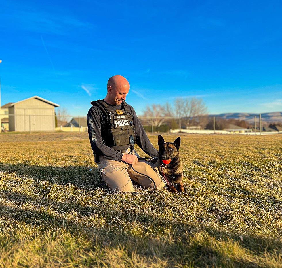 Yakima Police Welcome New K9 Officer to The Force