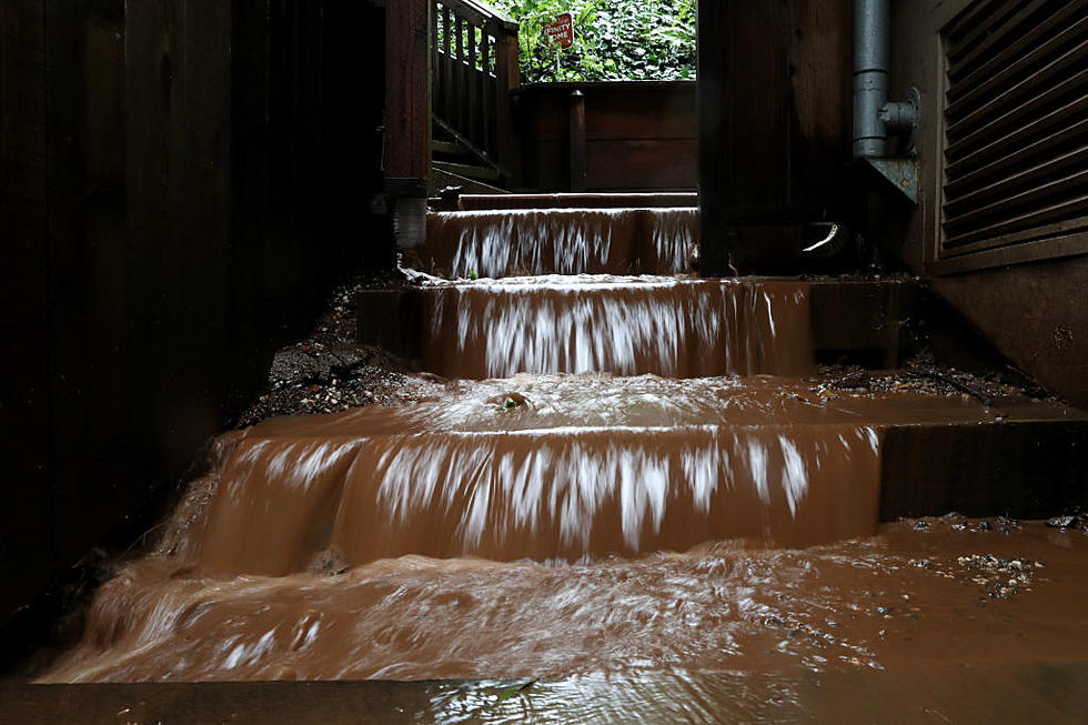 Rain-Flooding Hit Ca. Farms & April Invasive Plant-Pest Awareness