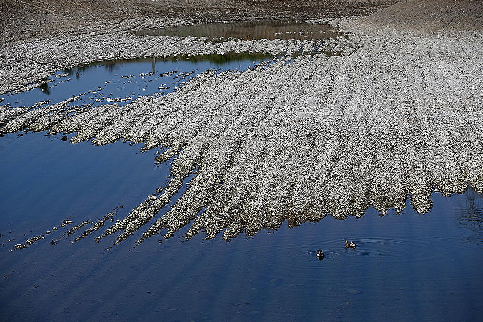 USDA’s $3-billion for Natural Disasters and US Milk Production Down