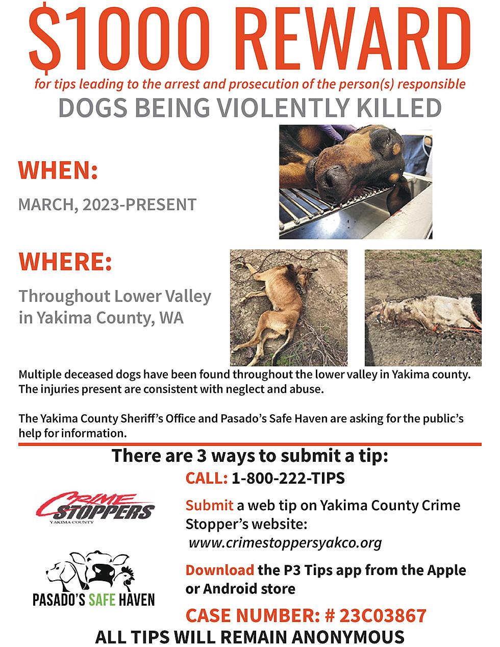 $1,000 Reward to Solve Animal Cruelty in Yakima County