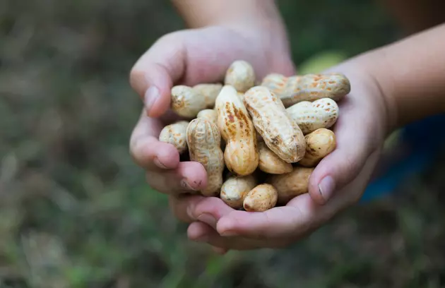 USMCA&#8217;s Third Anniversary and Farmer Sentiment Rebounds in June