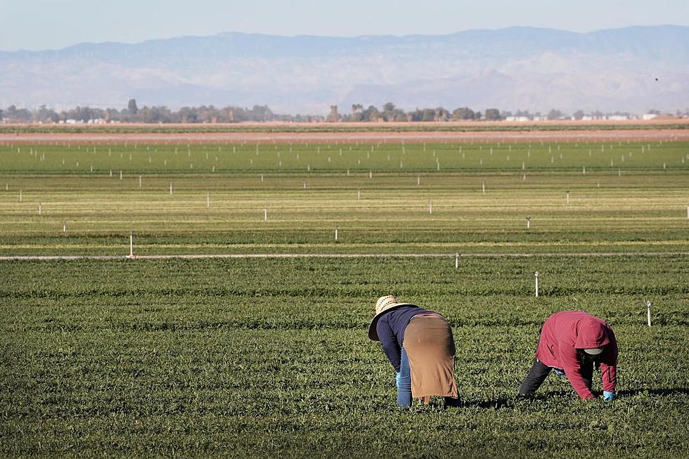 Farm Bill & Organic and Federal Milk Marketing Order Talks