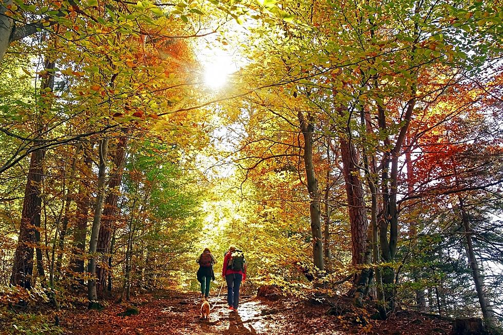 Top 11 Enchanting Outdoor Things to Do in WA in the Fall