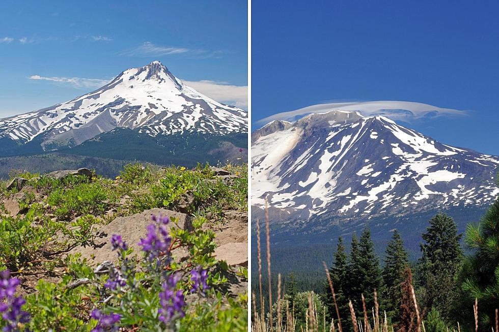 2 Wild ‘N Sassy Volcanoes to Visit: Mt. Hood and Mt. Adams