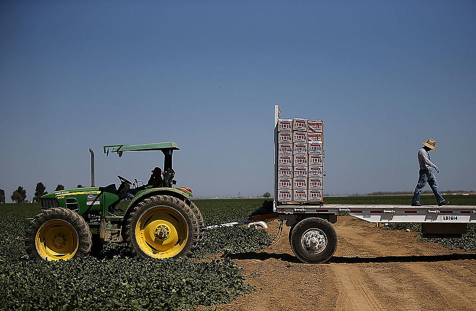 California Crop Haulers Busy and Farm Bill Extension Likely