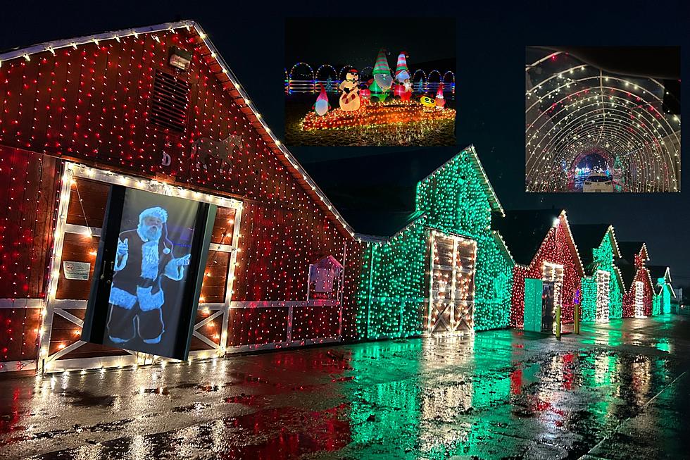Experience The 4th Annual Drive Thru Light Fest! [PHOTO GALLERY]