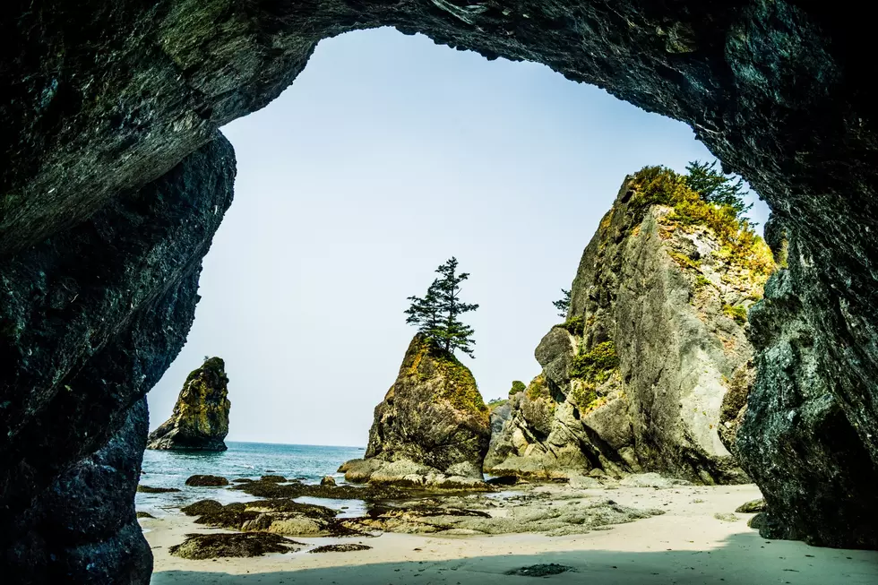 Olympic National Park