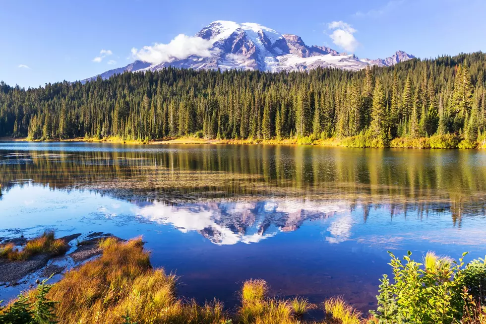 Mount Rainier National Park