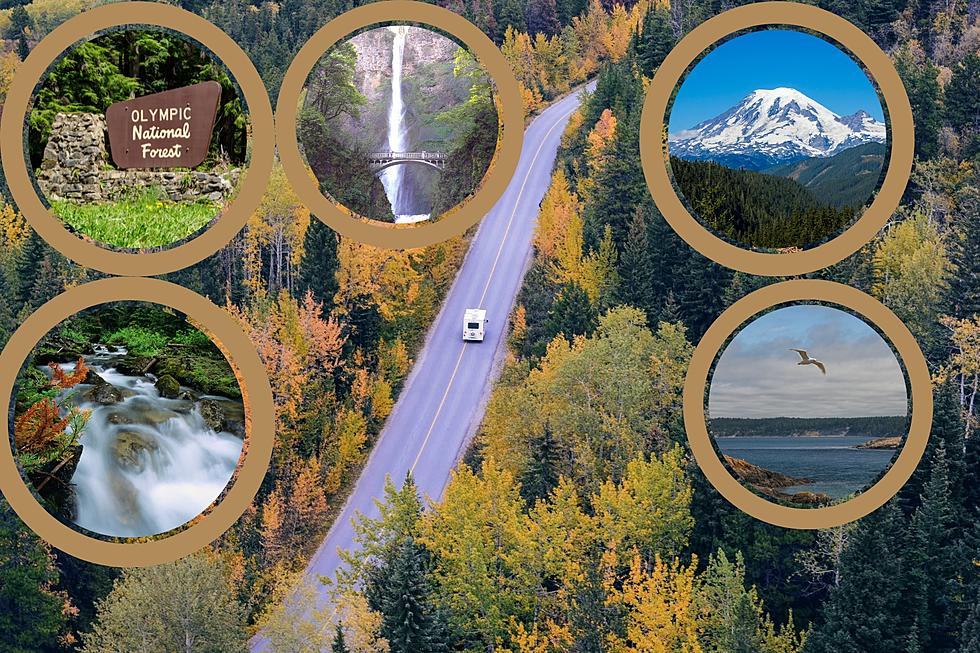 Nature's Paradise: Uncover Washington State's Top 5 Day Trips