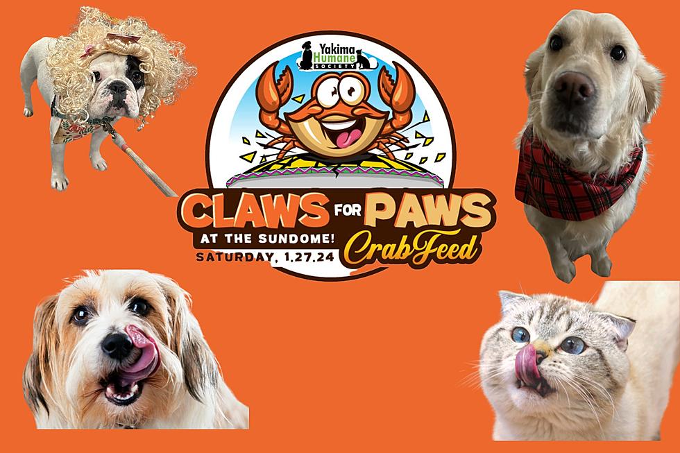 Enjoy An Evening Of Food And Fun At The Claws for Paws Crab Feed