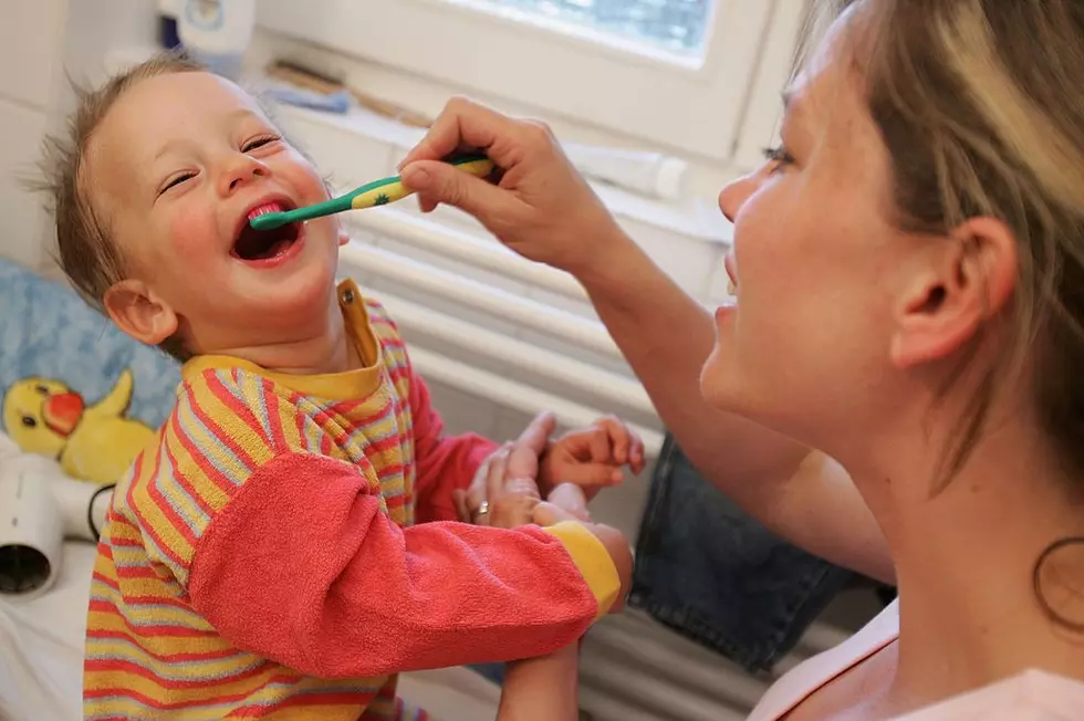German Politicians Wrangle Over Family Policy Reforms