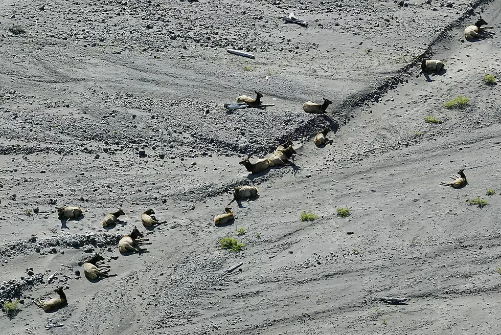Volcano Advisory Continues For Mount St. Helens