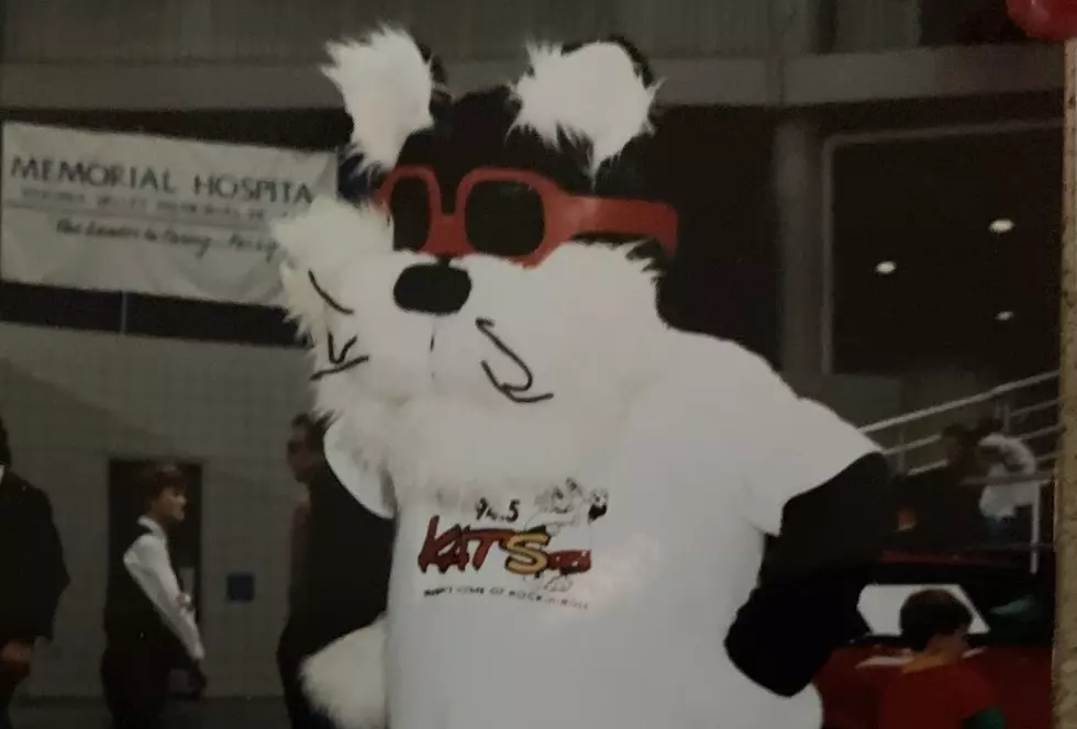 A Real Head-Scratcher for WA Sports Fans : Cast Your Vote for the Most Forgettable Mascot