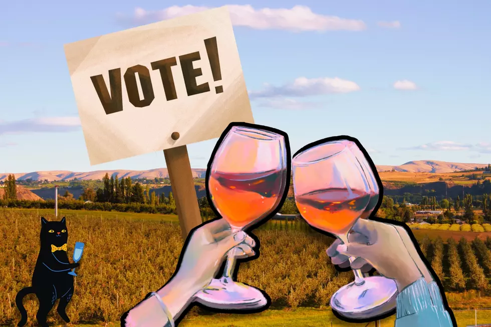 Vote Now! Yakima Valley Competing for Best Wine Region in National Poll