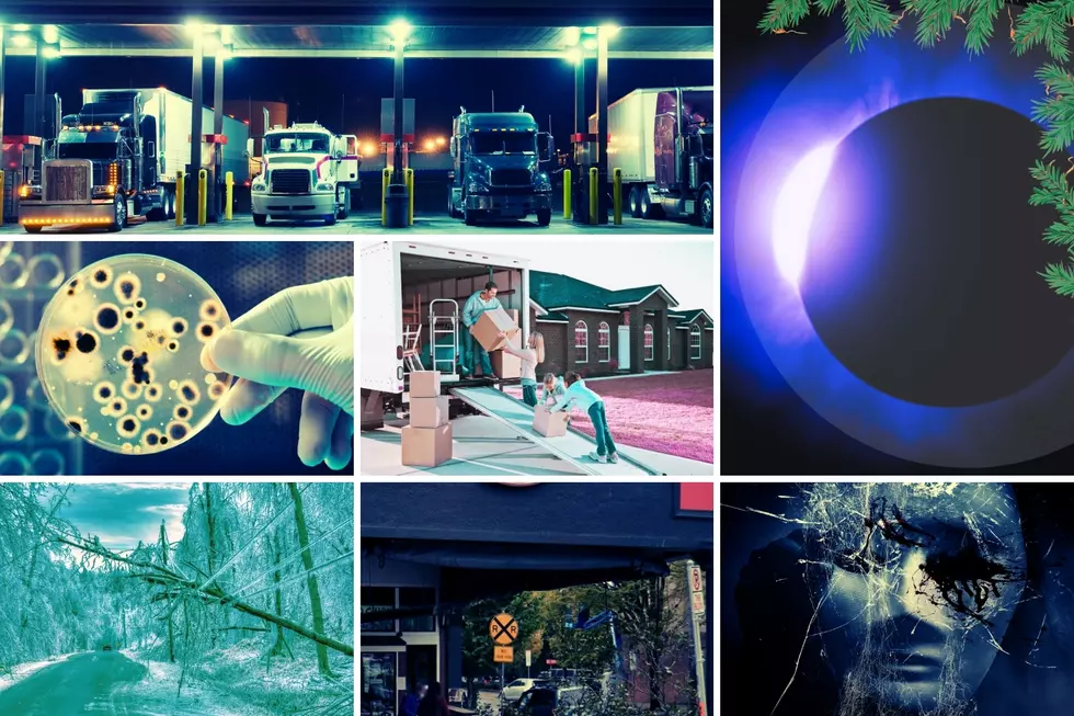 2024’s Most Read Stories for Washington State and Oregon