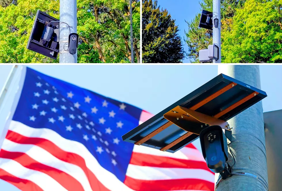 See If Your Car Has Been Searched by Flock Cams in WA