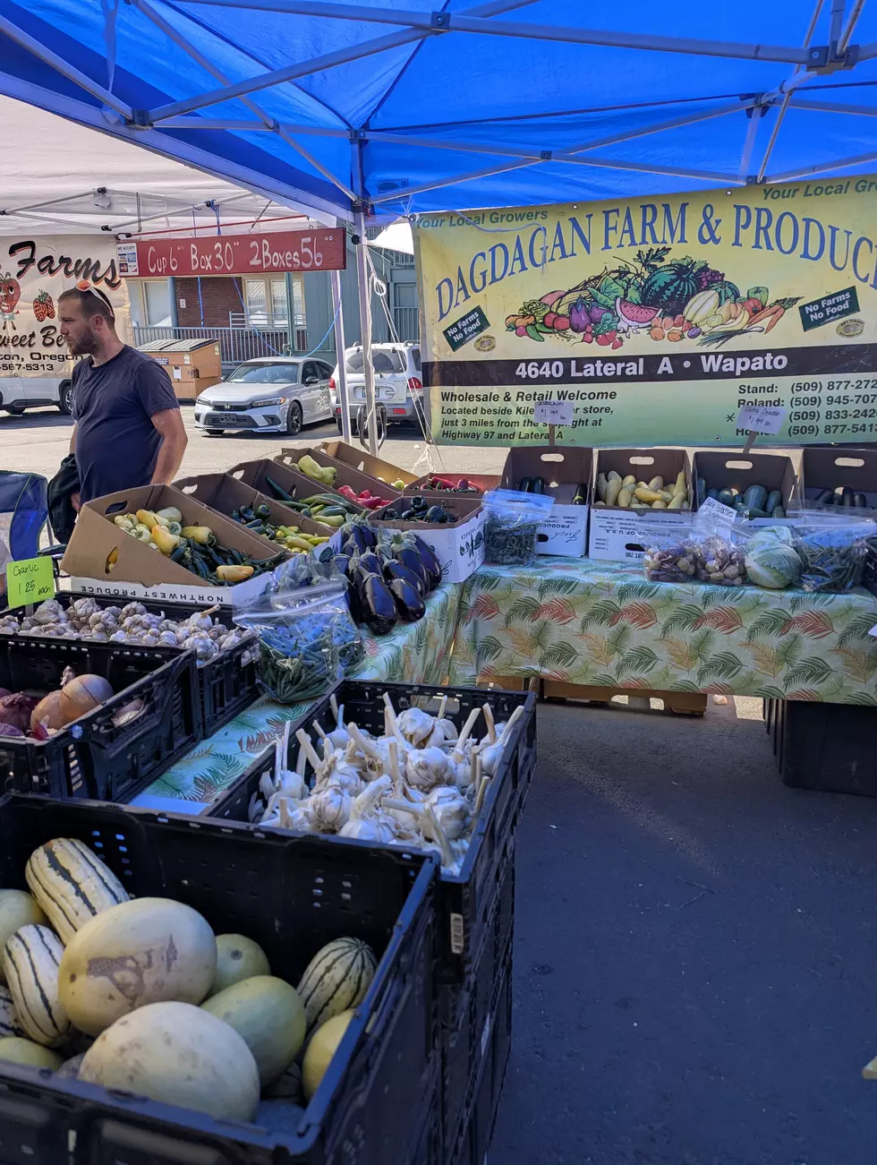 Plentiful Farm Fresh Produce at Downtown Yakima Farmers Market