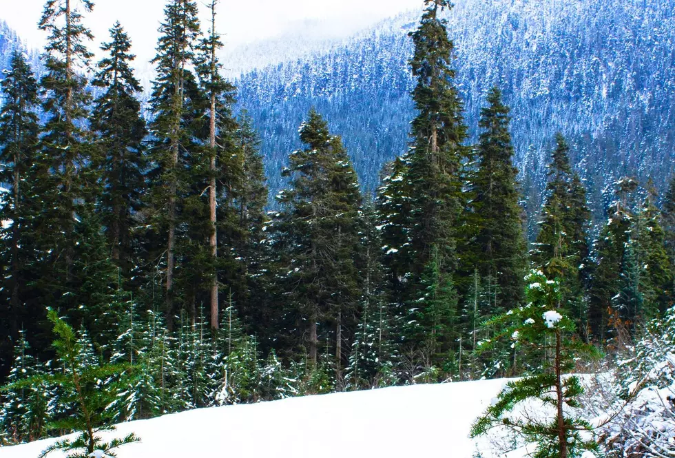 NOAA&CloseCurlyQuote;s Winter Forecast for Washington and Oregon Is a Mixed Bag