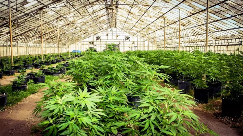 Lawsuit likely after NE Washington county passes new pot growing rules