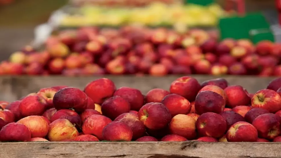 Investigator finds 2 lost apple varieties on Steptoe Butte