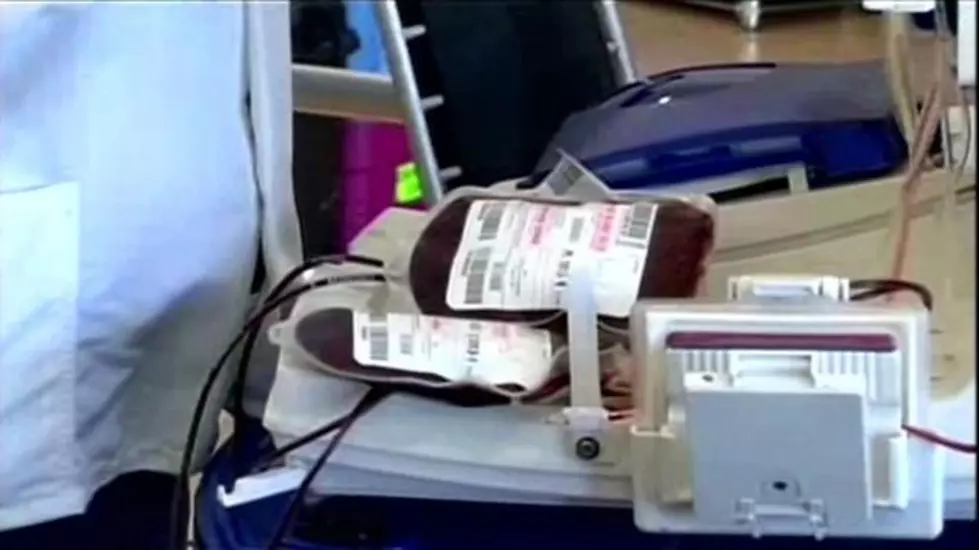 Blood donations from gay community up since Orlando tragedy