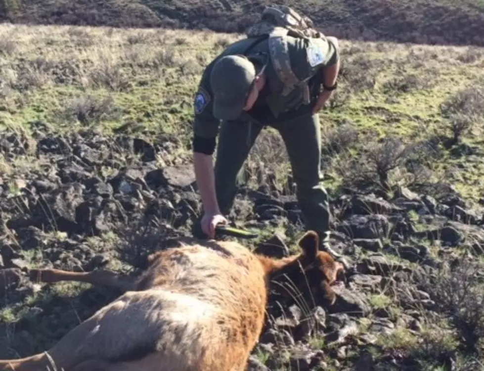 Oregon lawmakers pass bill to provide incentives for turning in poachers