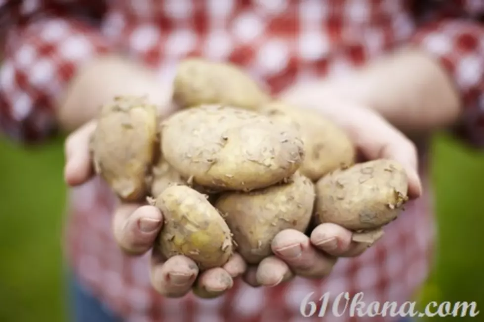 Idaho potatoes set record for production value last year