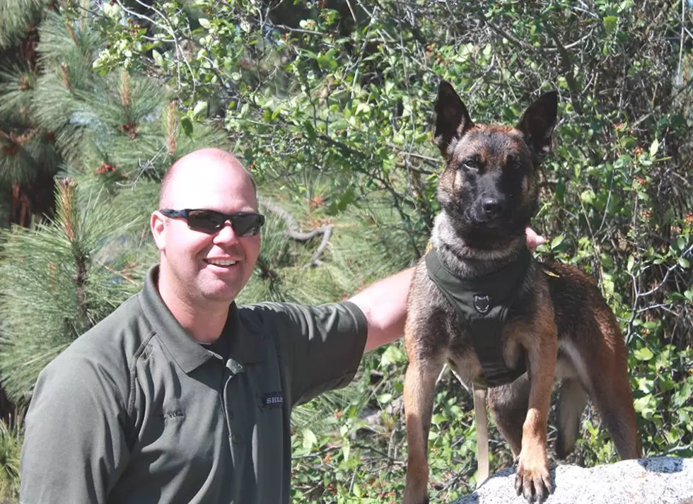 Two Moses Lake burglary suspects arrested thanks to K-9 team