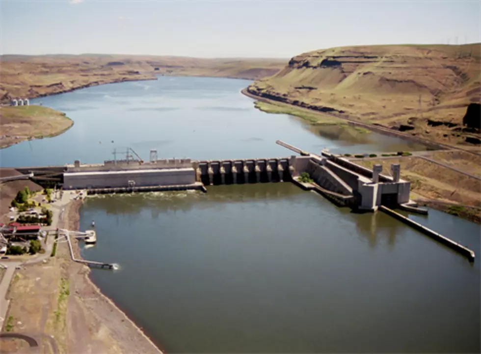 Dam turbine oil leaks into Snake River