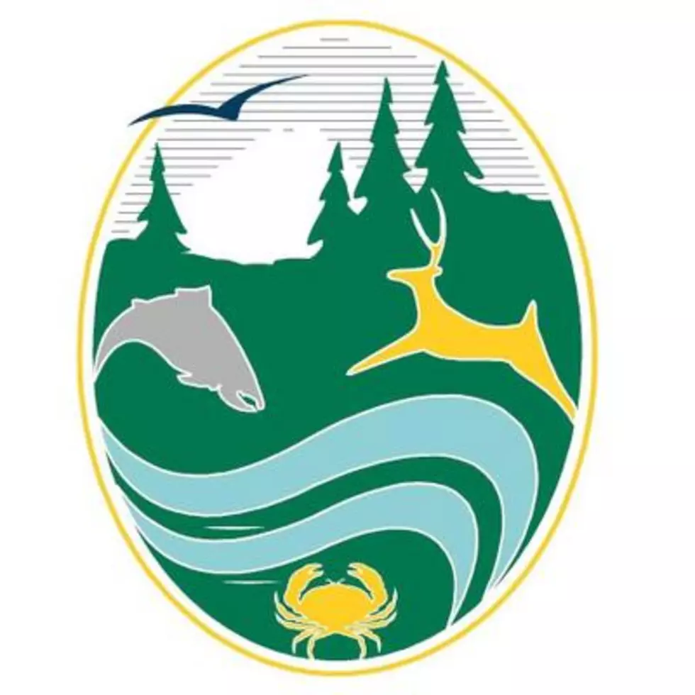 Director of state Fish and Wildlife Department resigns