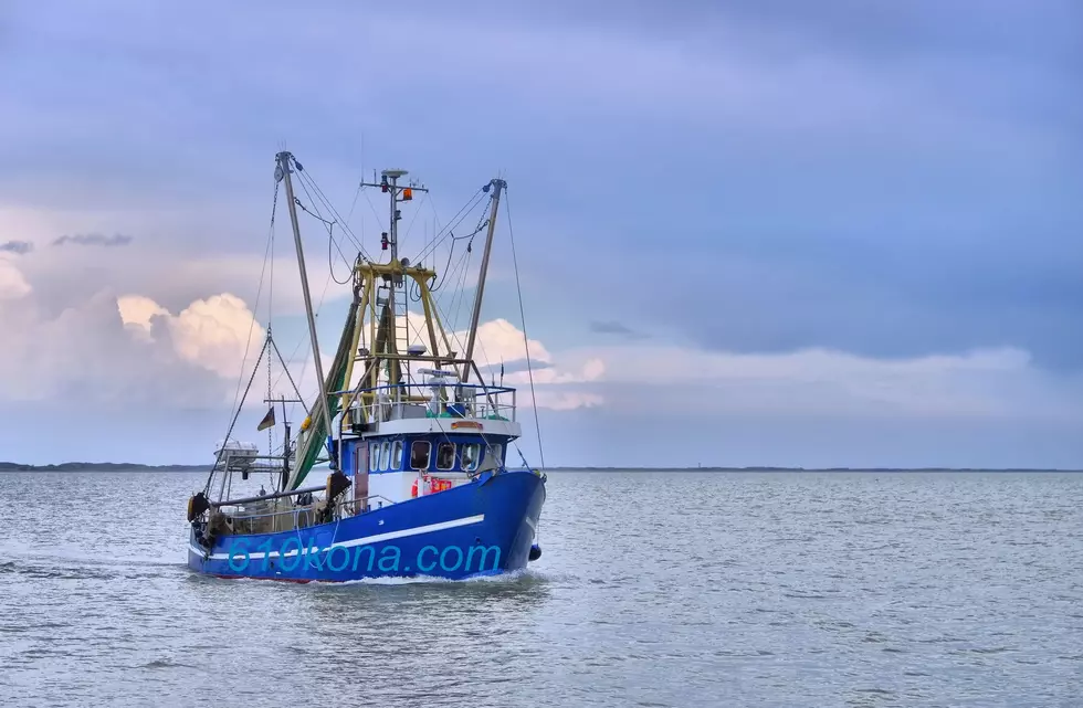 Oregon coast now open for crabbing