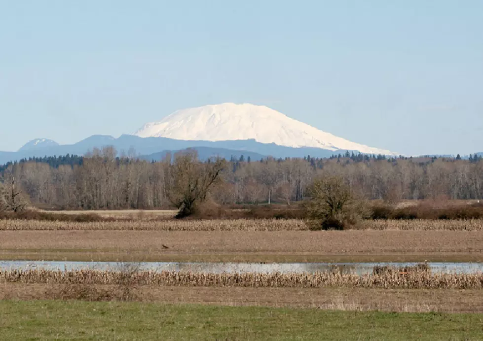 State authorities propose booze ban at Sauvie Island beaches