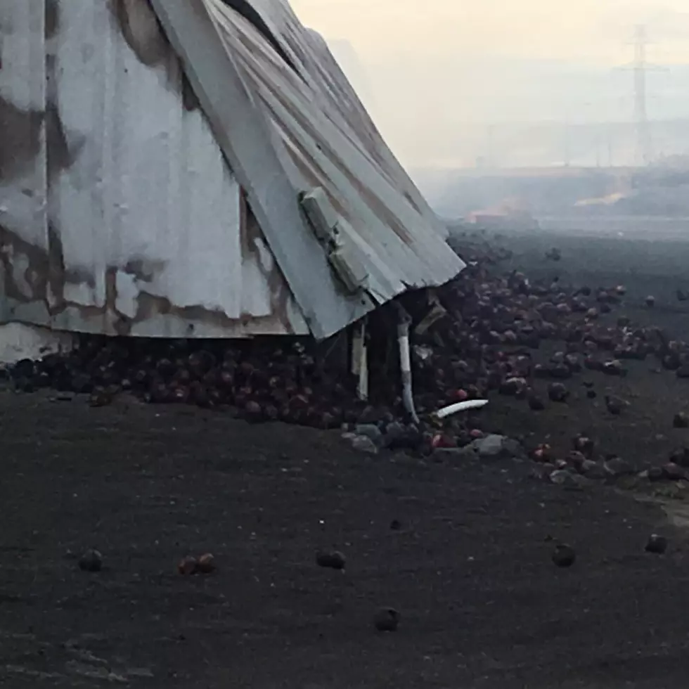 Early morning fire destroys produce shed