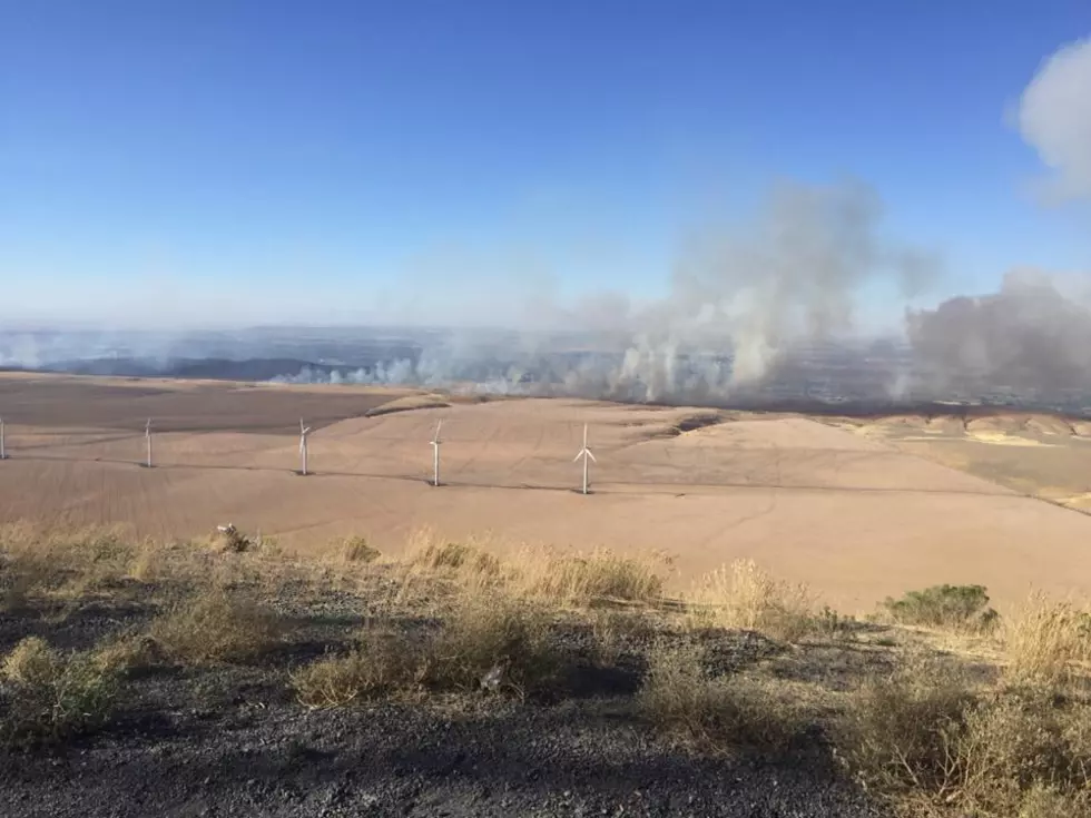 Five homes lost, three damaged in 5,000 acre Bofer Canyon Fire