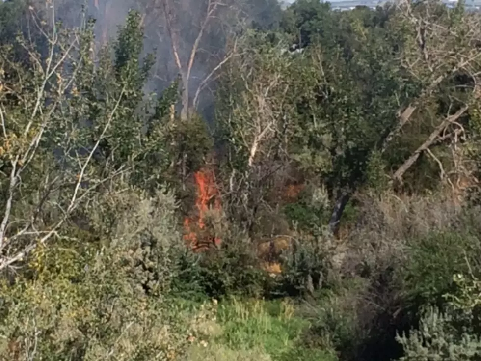 Fourth fire in Zintel Canyon was human caused