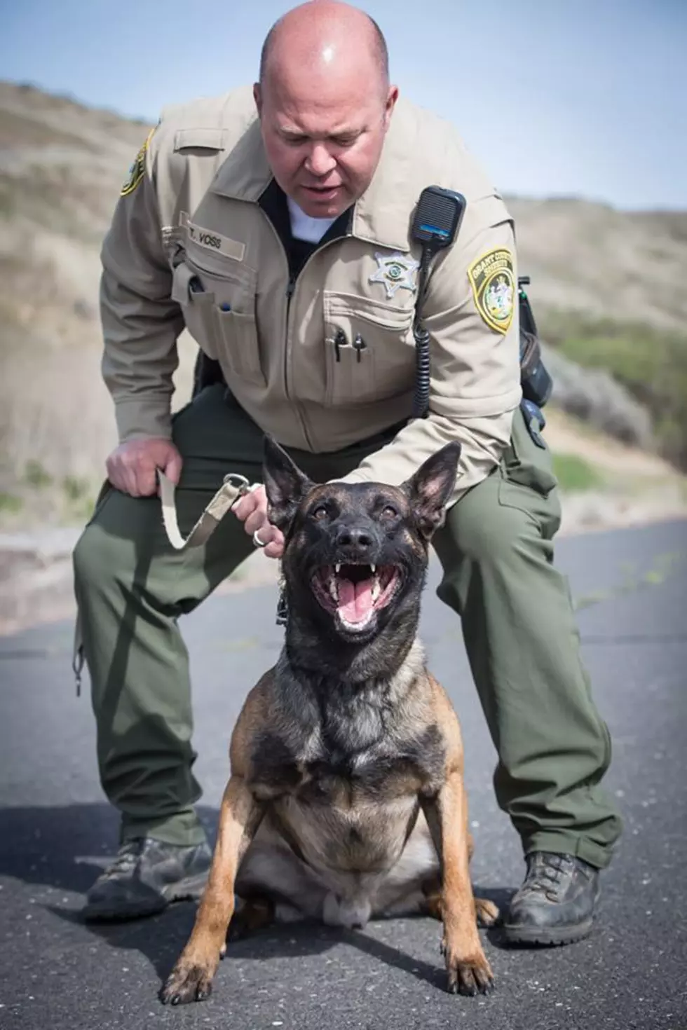 K9 Edo nabs suspect who tried to run from Deputies in Grant County