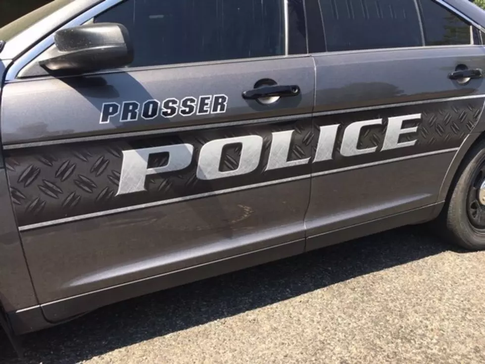 New Police Chief Named in Prosser