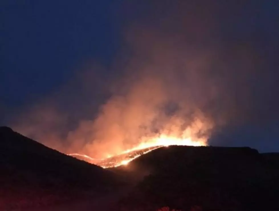 Wildfire scorches dozens of acres near Benton City