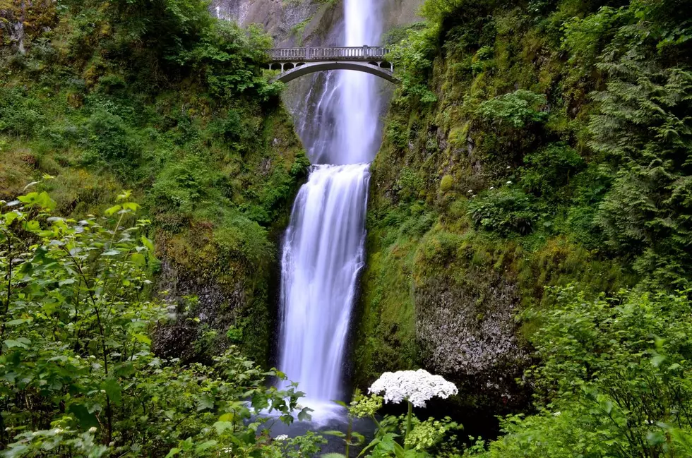 Oregon Trails and Waterfalls Re-Open