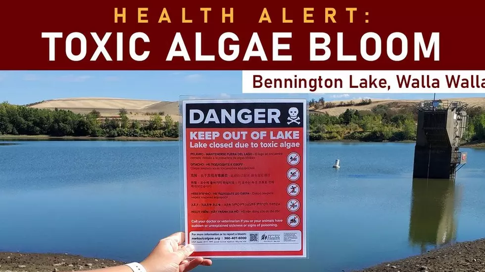 Bennington Lake Shoreline Closed Due to Algae Bloom