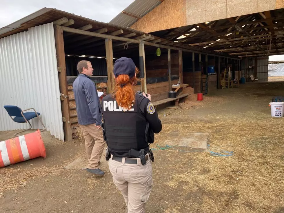 State, Local Law Enforcement Bust Possible Illegal Horse Racing Operation In Burbank