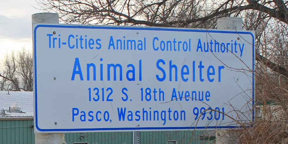 City of Pasco to Take Over Tri-City Animal Shelter Ops