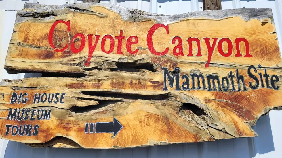 MCBONES Again Offering Tours of Coyote Canyon Mammoth Dig