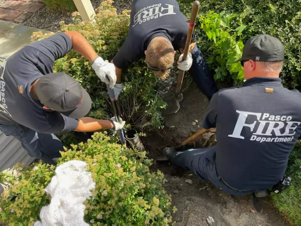 Pasco Firefighters Rescue Kitten From PVC Pipe